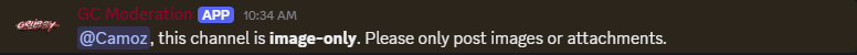 Bot warning user in image-only channel